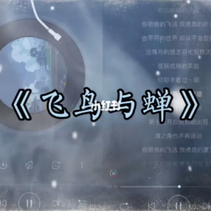 飞鸟和蝉钢琴简谱 数字双手