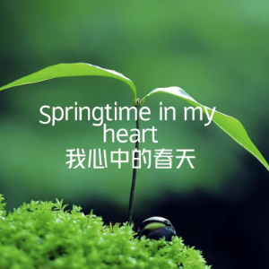 Springtime in my heart / 我心中的春天「治愈系小曲」-钢琴谱