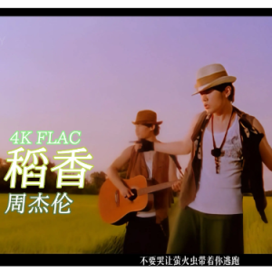 稻香吉他谱无变调夹教学