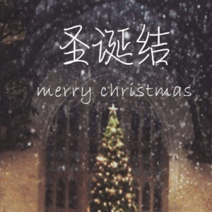 圣诞结-C-陈奕迅 【中级难度】 原调 吱吱编配
