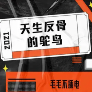 天生反骨的鸵鸟钢琴简谱 数字双手 于晓明