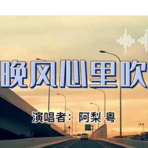 秒针吉他谱c调阿梨粤