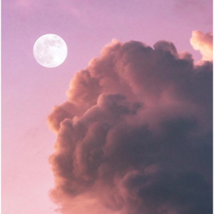 见上夜星吉他谱