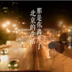 你离开的真想吉他谱