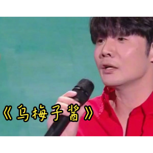 乌梅子酱钢琴简谱 数字双手