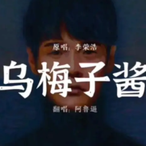 乌梅子酱钢琴简谱 数字双手