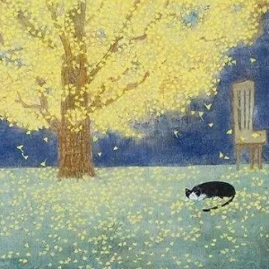 D大调卡农、最美的卡农版本【治愈-唯美】