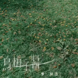 乌梅子酱-李荣浩-钢琴谱