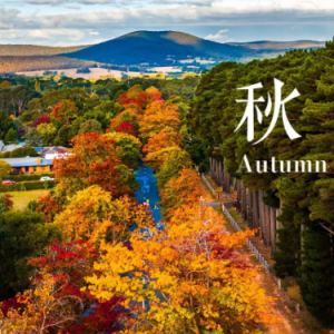 傅锵锵《墨尔本的秋天》钢琴版-钢琴谱