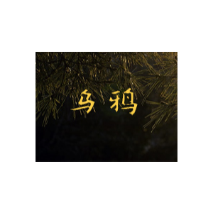 乌鸦钢琴简谱 数字双手 许嵩