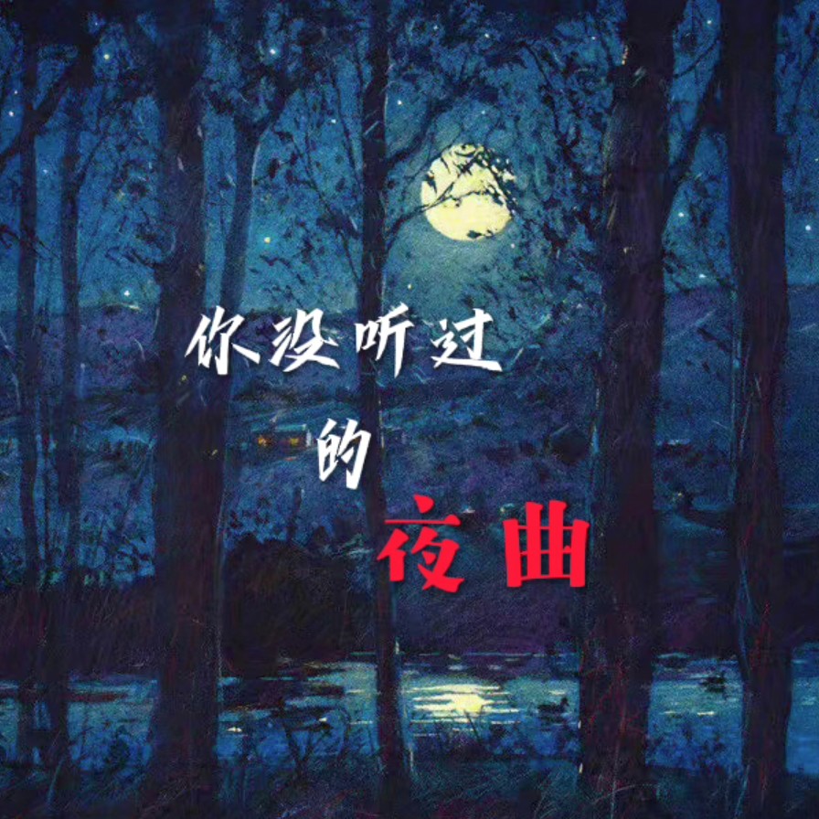 你没听过的夜曲-钢琴谱