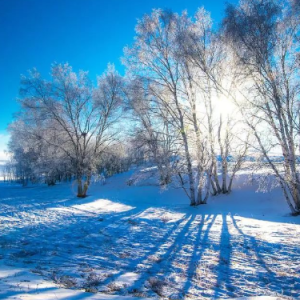 我爱你塞北的雪 C调简易版 殷秀梅  经典流行-钢琴谱