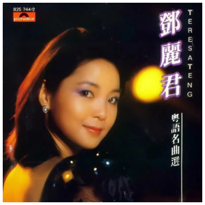 漫步人生路  邓丽君  简单动听-钢琴谱
