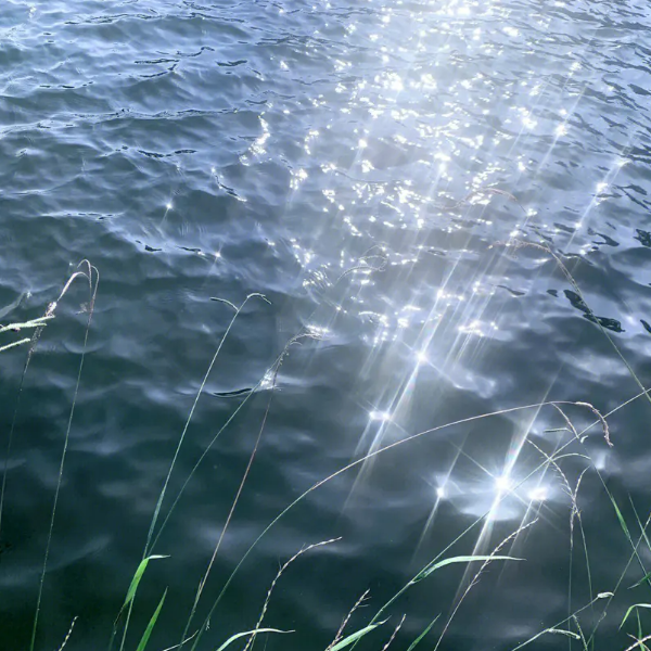 Shimmering waters-钢琴谱