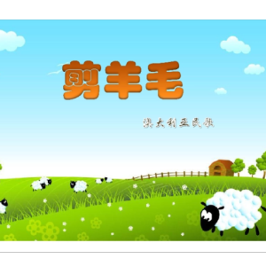 剪羊毛-小蓓蕾组合-钢琴谱