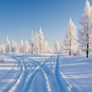 雪之梦钢琴简谱 数字双手