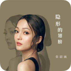 隐形的翅膀-钢琴谱