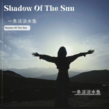 shadow of the sun钢琴简谱 数字双手 max elto