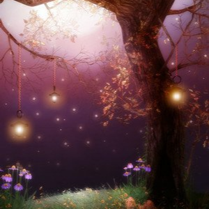 弗拉门戈【幻想】