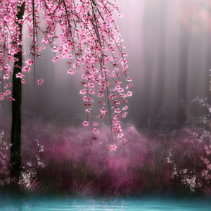 梦中的泉水【唯美-幻想】