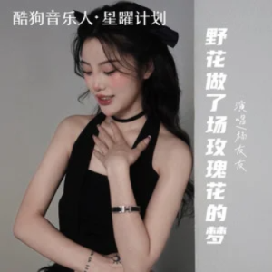野花做了场玫瑰花的梦钢琴简谱 数字双手
