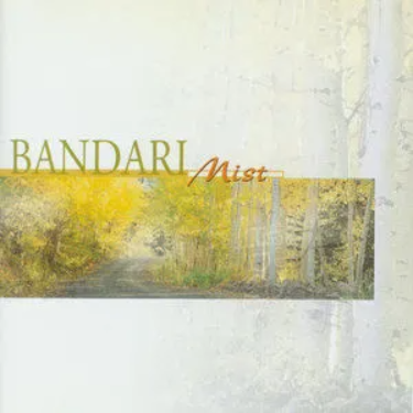 The First Snowflakes - Bandari-钢琴谱