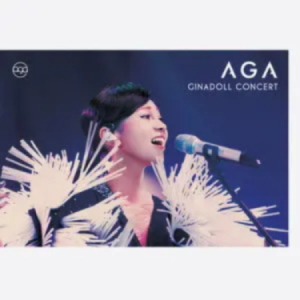 孤雏-AGA-原调带歌词