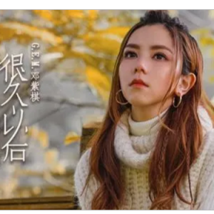 【G.E.M.邓紫棋】有心人 钢琴弹唱 A Tritube to Leslie Cheung-LIVE PIANO SE-钢琴谱