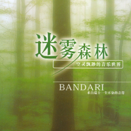 海王星--迷雾森林-班得瑞-钢琴谱