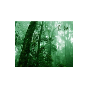 柔和-《迷雾森林》班得瑞-钢琴谱