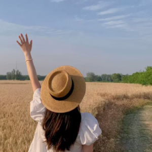 野花做了场玫瑰花的梦 原调简易版 杨友友-钢琴谱