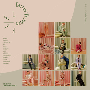 Fallin' Flower-SEVENTEEN专辑《舞い落ちる花びら》主打歌-钢琴谱