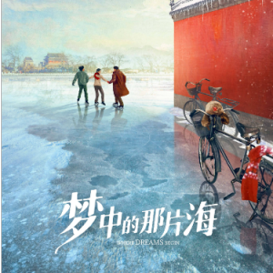 梦中的那片海钢琴简谱 数字双手