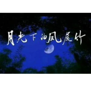 月光下的风尾竹 小提琴+钢琴伴奏谱-钢琴谱