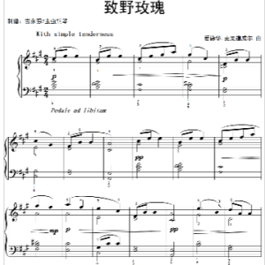 致野玫瑰