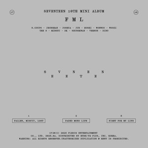 Dust-SEVENTEEN专辑《FML》收录曲-钢琴谱