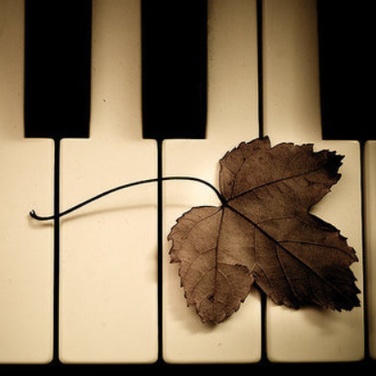 《Melody》“旋律”-Schumann 选自舒曼-少年曲集《Album For The Young》No.1-钢琴谱