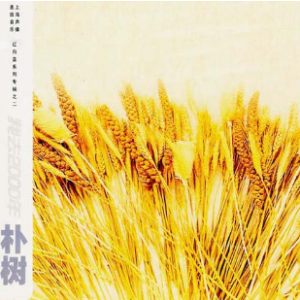 New Boy钢琴简谱 数字双手