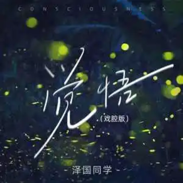 觉悟//泽国同学-C调-钢琴谱