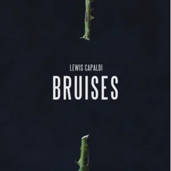 Bruises - Lewis Capaldi-钢琴谱