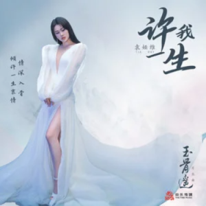 【影视插曲】许我一生//《玉骨遥》电视剧片头曲-C调-钢琴谱