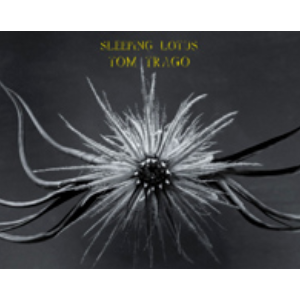 Sleeping Lotus-睡莲-Joep Beving-钢琴谱
