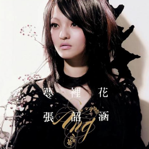 梦里花钢琴简谱 数字双手