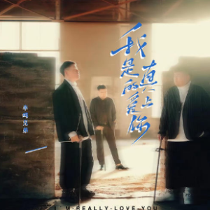 我是真的爱上你钢琴简谱 数字双手