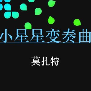 12 Variations of Twinkle Twinkle Little Star 小星星的12个变奏曲钢琴简谱 数字双手