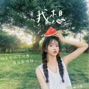 我想钢琴谱