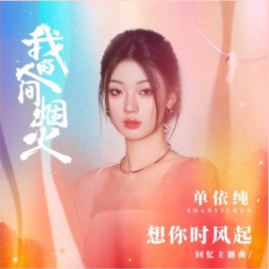 单依纯《想你时风起》（《我的人间烟火》回忆主题曲）入门C调简单版-钢琴谱