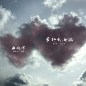 曲婉婷《最好的安排》入门C调简单版-钢琴谱