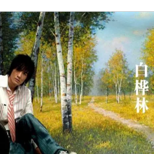 《白桦林》-朴树-钢琴演奏谱-昼夜版 C调