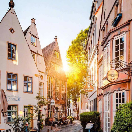 ⟪献给爱丽丝⟫C调简易版+拜厄难度